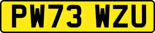 PW73WZU