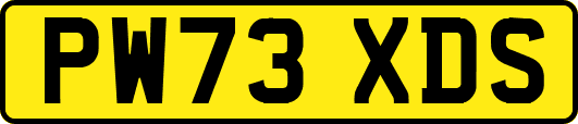 PW73XDS