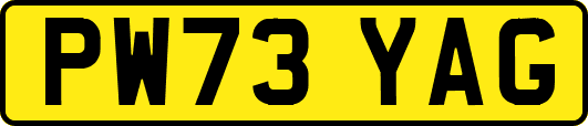 PW73YAG