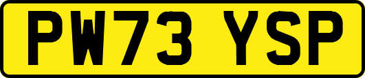 PW73YSP