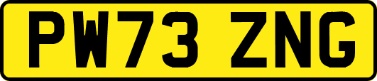 PW73ZNG