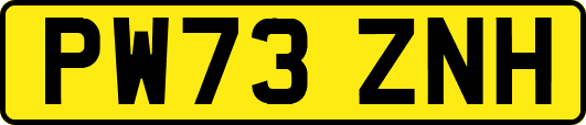 PW73ZNH