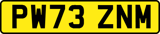 PW73ZNM