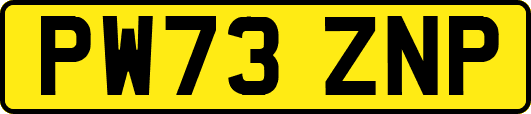 PW73ZNP
