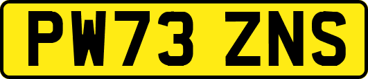 PW73ZNS