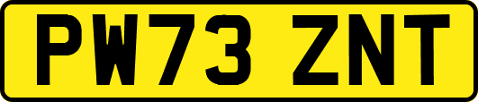 PW73ZNT