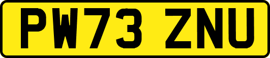 PW73ZNU