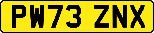 PW73ZNX