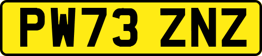 PW73ZNZ