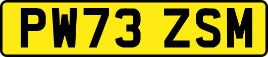 PW73ZSM