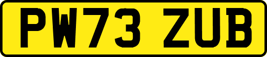 PW73ZUB