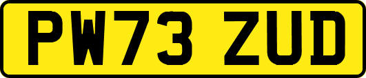 PW73ZUD