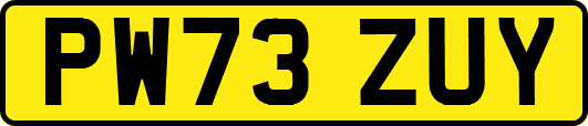 PW73ZUY