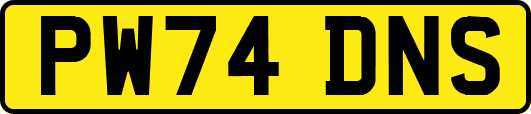 PW74DNS