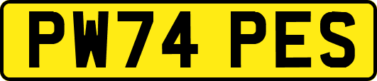 PW74PES
