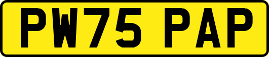 PW75PAP