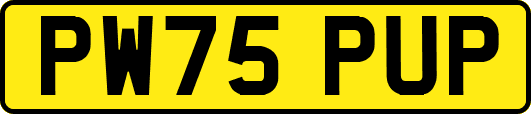PW75PUP