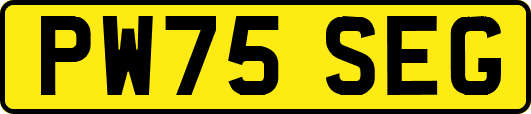 PW75SEG