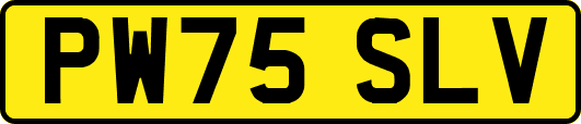 PW75SLV