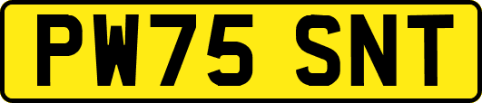 PW75SNT