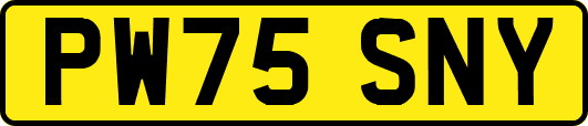 PW75SNY