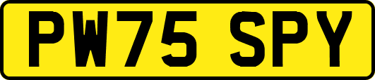 PW75SPY