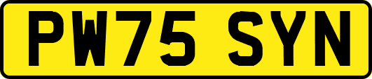 PW75SYN