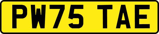PW75TAE