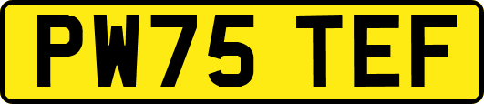 PW75TEF