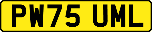PW75UML