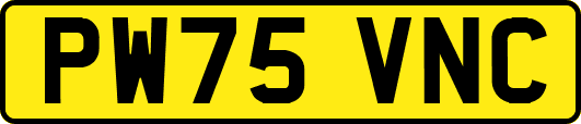 PW75VNC