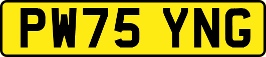 PW75YNG