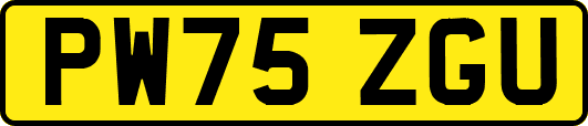 PW75ZGU
