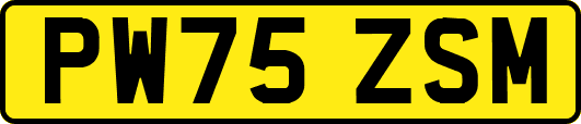 PW75ZSM