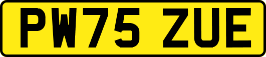 PW75ZUE