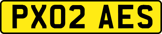 PX02AES