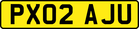 PX02AJU