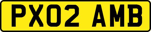 PX02AMB
