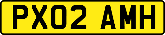 PX02AMH