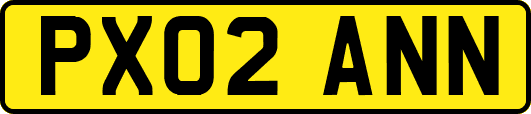 PX02ANN