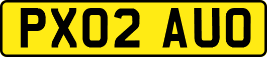 PX02AUO