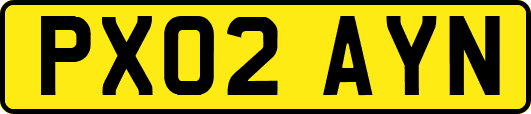 PX02AYN