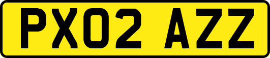 PX02AZZ