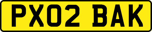 PX02BAK