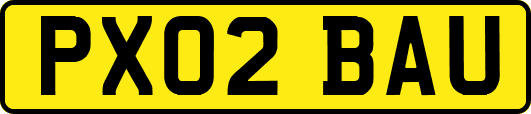PX02BAU