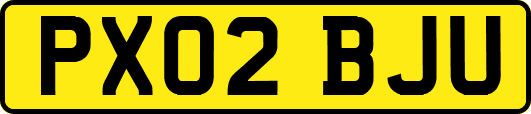 PX02BJU