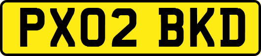 PX02BKD