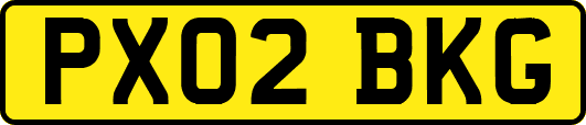 PX02BKG