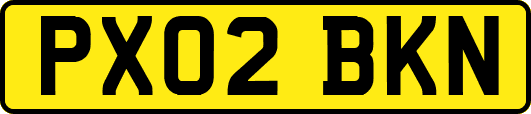 PX02BKN