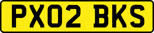 PX02BKS